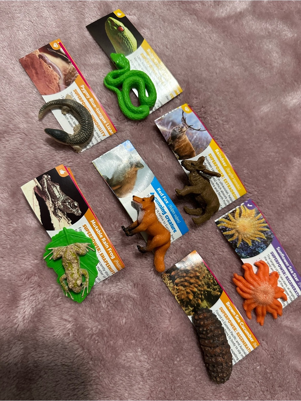 Assorted YOWIE Wildlife Toy collectibles